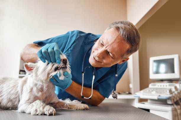 Best Emergency Dentist for Knocked-Out Tooth in Peachtree Corners, GA